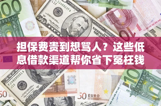 济南担保费贵到想骂人？这些低息借款渠道帮你省下冤枉钱