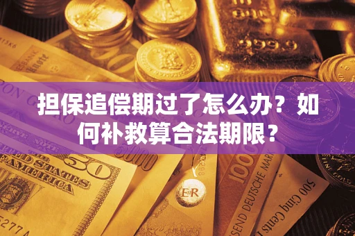 济南担保追偿期过了怎么办？如何补救算合法期限？