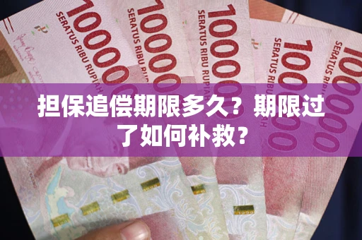 济南担保追偿期限多久？期限过了如何补救？