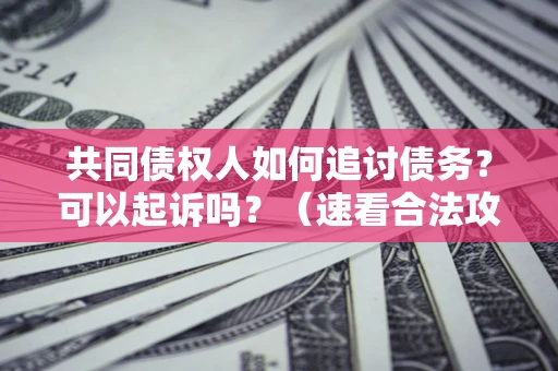 济南共同债权人如何追讨债务？可以起诉吗？（速看合法攻略）