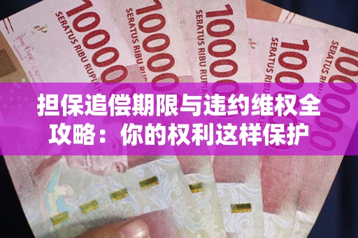 济南担保追偿期限与违约维权全攻略：你的权利这样保护