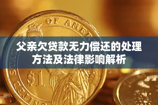 济南父亲欠贷款无力偿还的处理方法及法律影响解析